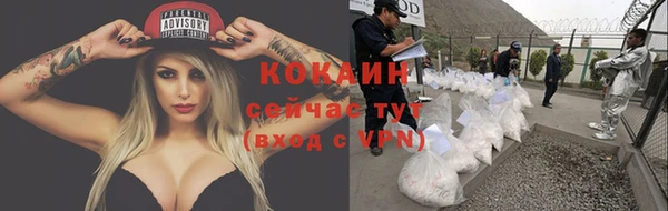 стаф Белоозёрский