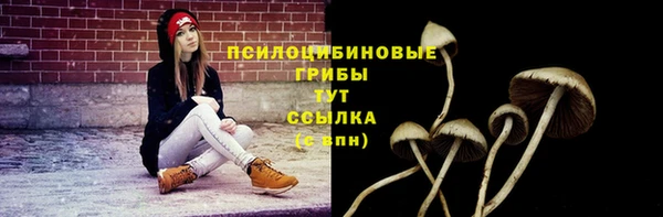 стаф Белоозёрский