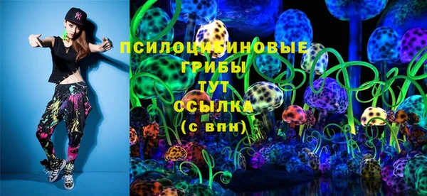 амф Беломорск