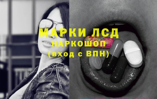 амф Беломорск