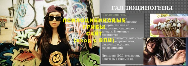 спиды Белокуриха