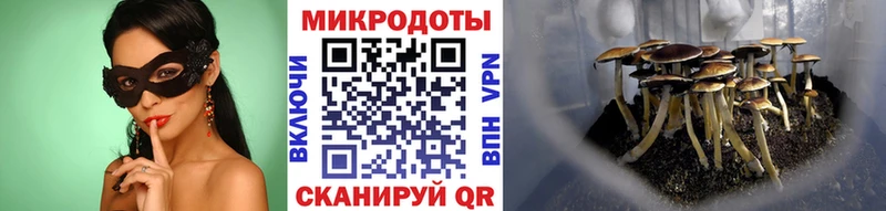 Псилоцибиновые грибы Magic Shrooms  Купить закладки  Нарткала 